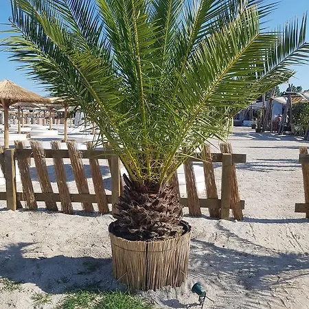 Apartament Gina Summerland Mamaia